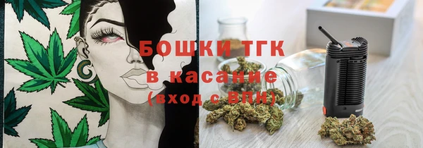 тгк Абаза