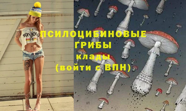 амф Абинск