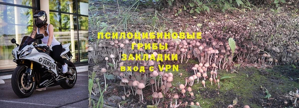 амф Абинск