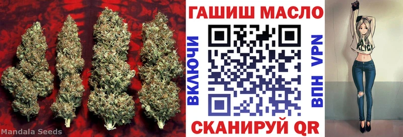 omg как зайти  где продают наркотики  Чегем  ТГК THC oil 