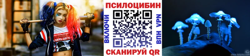 Псилоцибиновые грибы прущие грибы Чегем